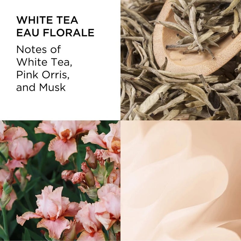 Elizabeth Arden White Tea Wild Rose Eau De Toilette For Women - Floral Luxury Fragrance 100ml