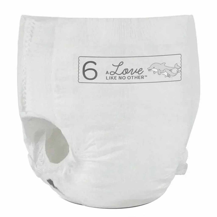 Bambo Nature Dream Size 6, 15+kg Eco-Friendly Training Pants, Pack of 19's