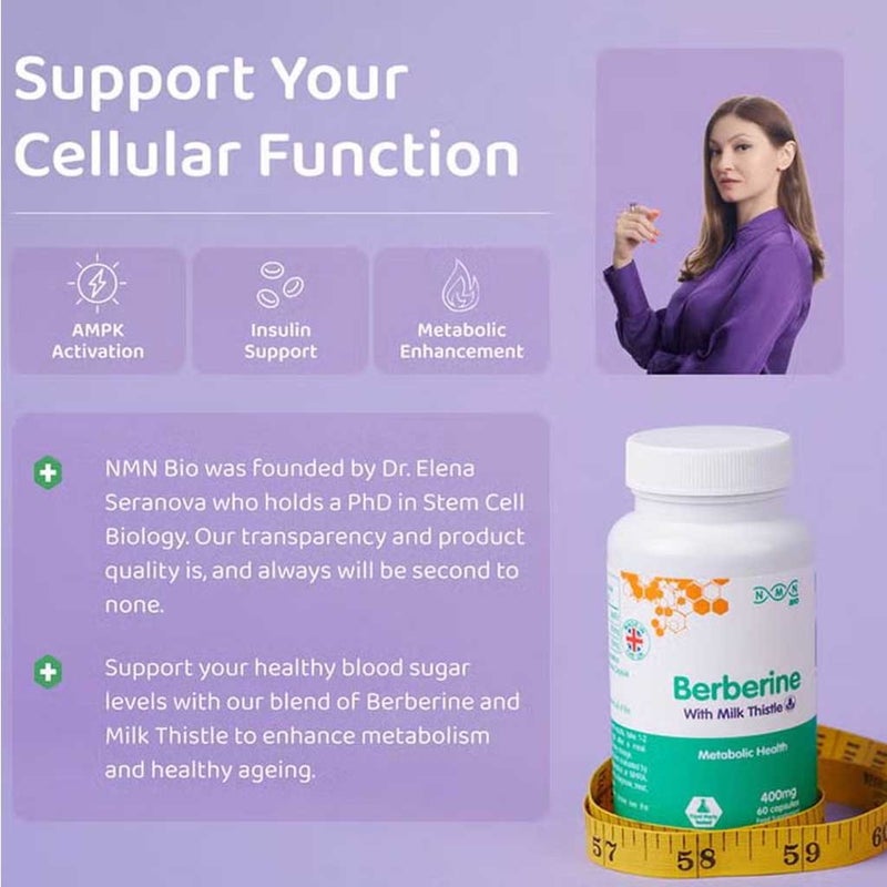 Sweet Spot Diabetic Nutrition Bundle Package