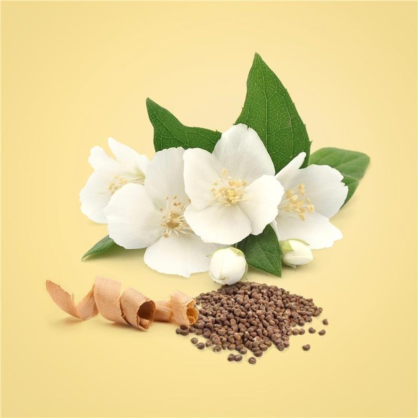 Calvin Klein Beauty Eau De Parfum For Women 100ml