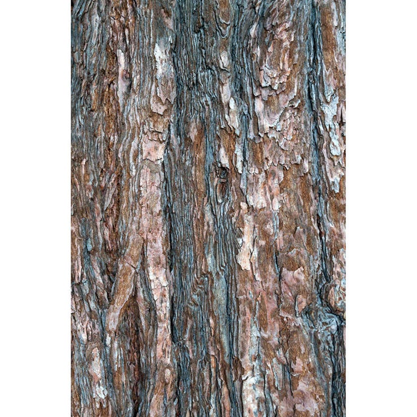 Mercedes Benz Private Eau De Parfum For Men 100ml