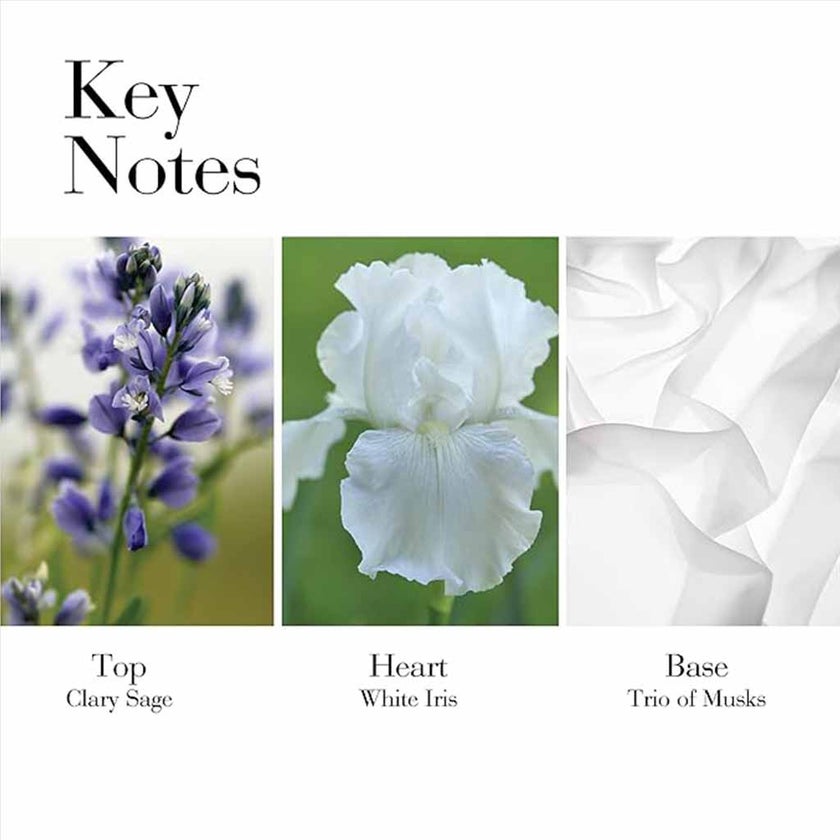 Elizabeth Arden White Tea Gift Set For Women - Pack of Elizabeth Arden White Tea EDP 30ml + White Tea Pure Indulge Body Cream 100ml 