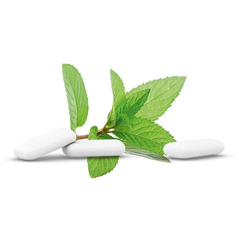 Ginjer Steviagum Senses Chewing Gum 30g - Fresh Breath