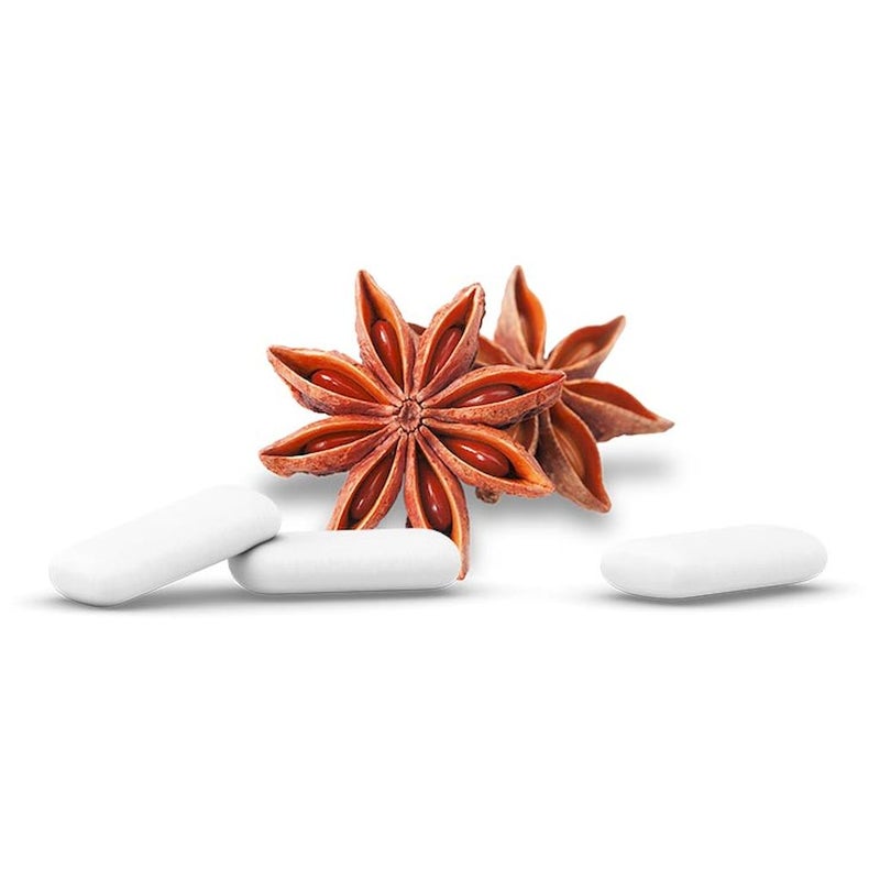 Ginjer Steviagum Senses Chewing Gum 30g - Anise