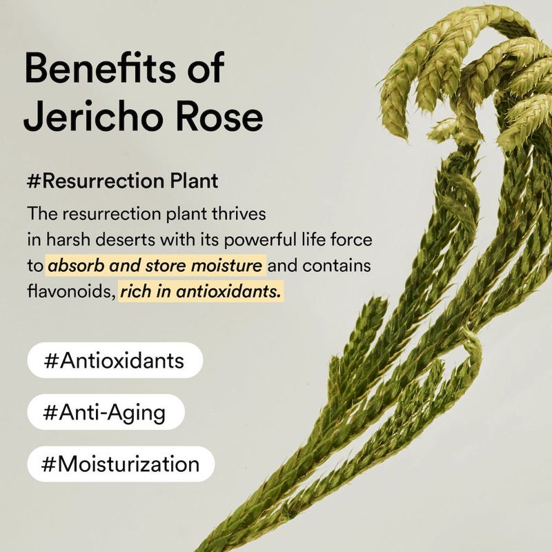 Abib Jericho Rose Jelly Collagen Eye Patches, Pack of 60's