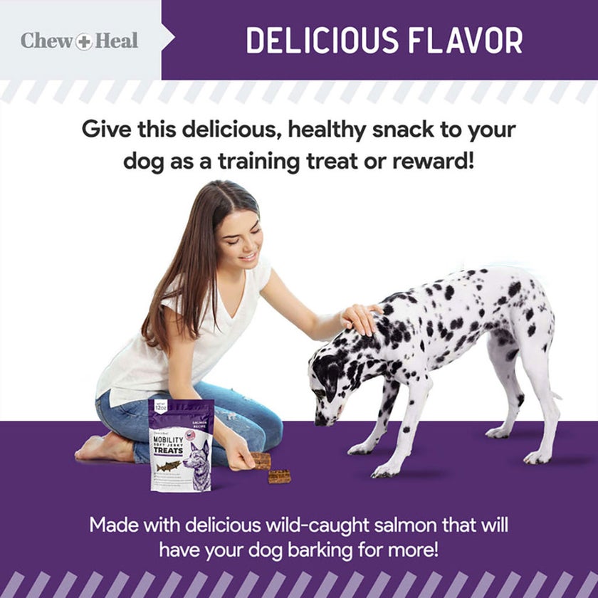 Chew + Heal Salmon Mobility Soft Jerky Treats For Dogs 340g