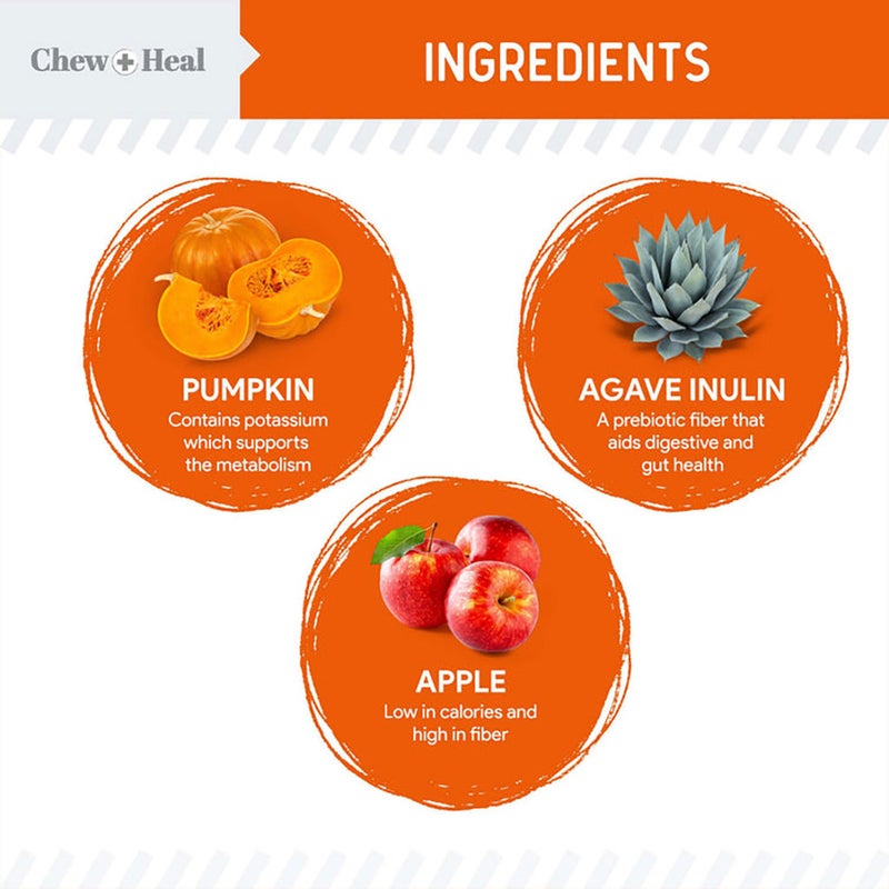 Chew + Heal Pumpkin & Probiotic Crunchy Treats For Dogs 340g
