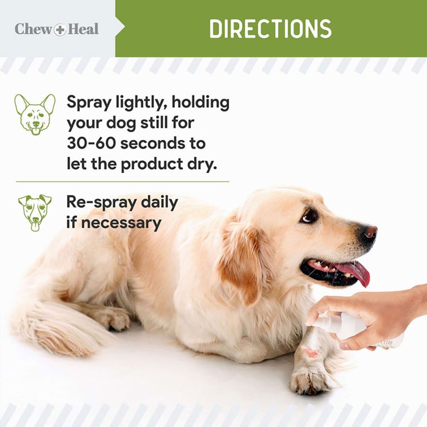 Chew + Heal Liquid Bandage Spray For Dogs 118ml