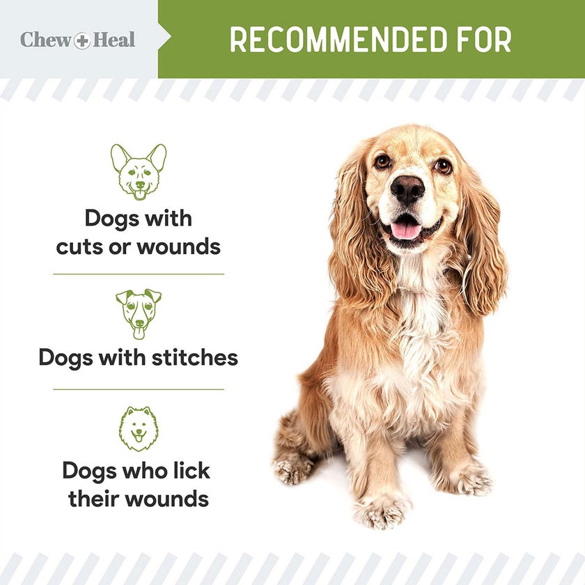 Chew + Heal Liquid Bandage Spray For Dogs 236ml