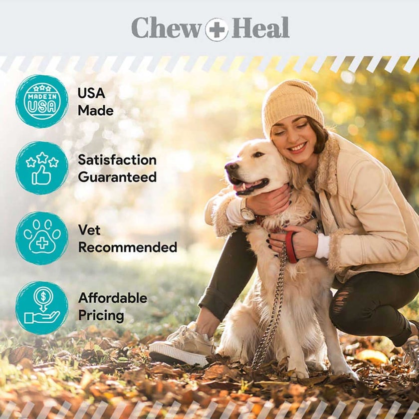 Chew + Heal Organic Kelp Marine Superfood For Dogs 454g