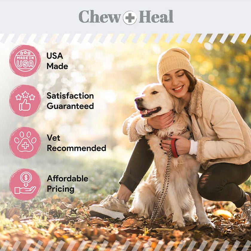 Chew + Heal Omega Soft Chews Allergy Aid For Dogs, Pack of 90's