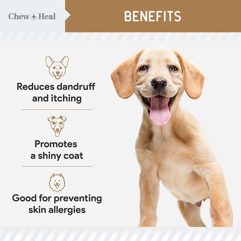 Chew + Heal Omega Skin + Coat Peanut Butter Flavored Soft Chews For Dogs & Cats, Pack of 180's