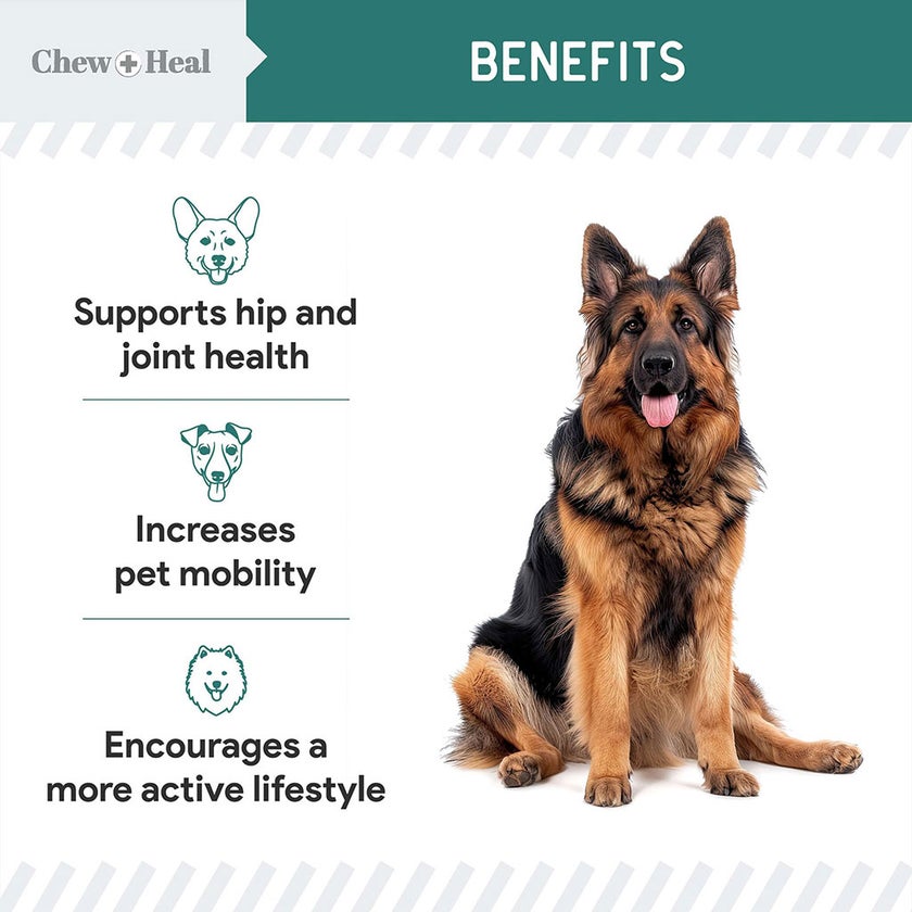 Chew + Heal Green Lipped Mussel Powder For Dogs 60g