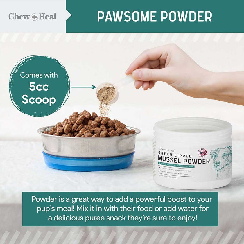 Chew + Heal Green Lipped Mussel Powder For Dogs 170g