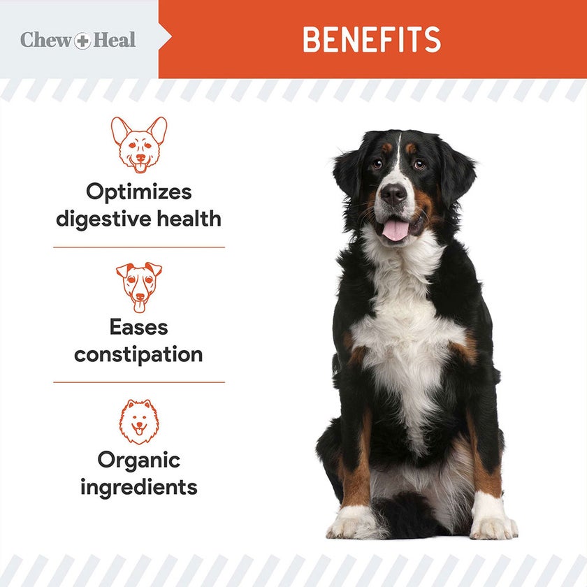 Chew + Heal Organic Pumpkin Digestive Defense Powder For Dogs 454g