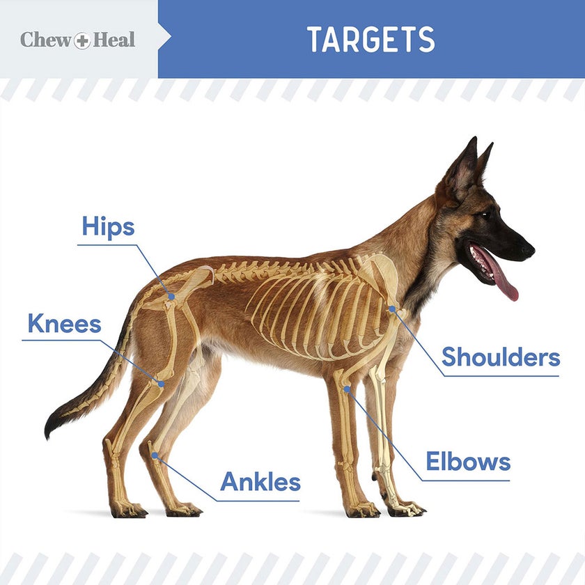 Chew + Heal Advanced Mobility Support Oral Liquid For Senior Dogs 473ml