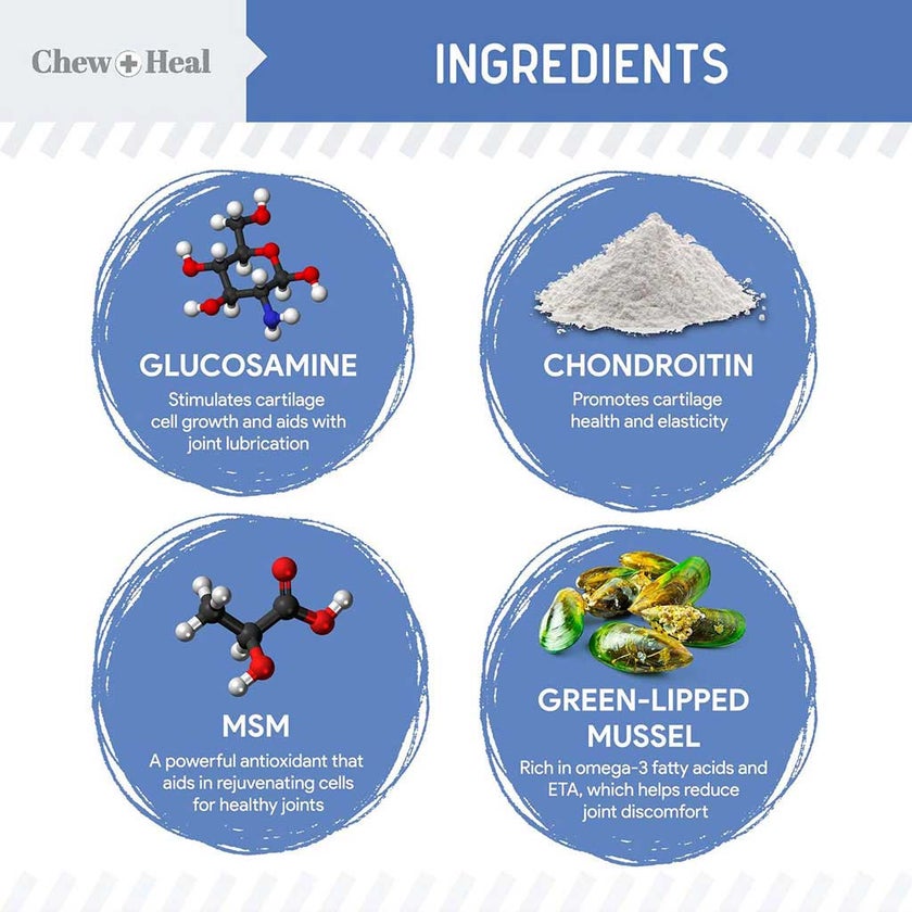 Chew + Heal Advanced Mobility Support Oral Liquid For Senior Dogs 473ml