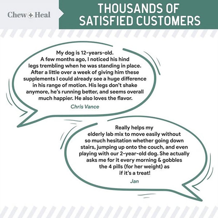 Chew + Heal Senior Hip + Joint Support Soft Chews For Dogs, Pack of 120's