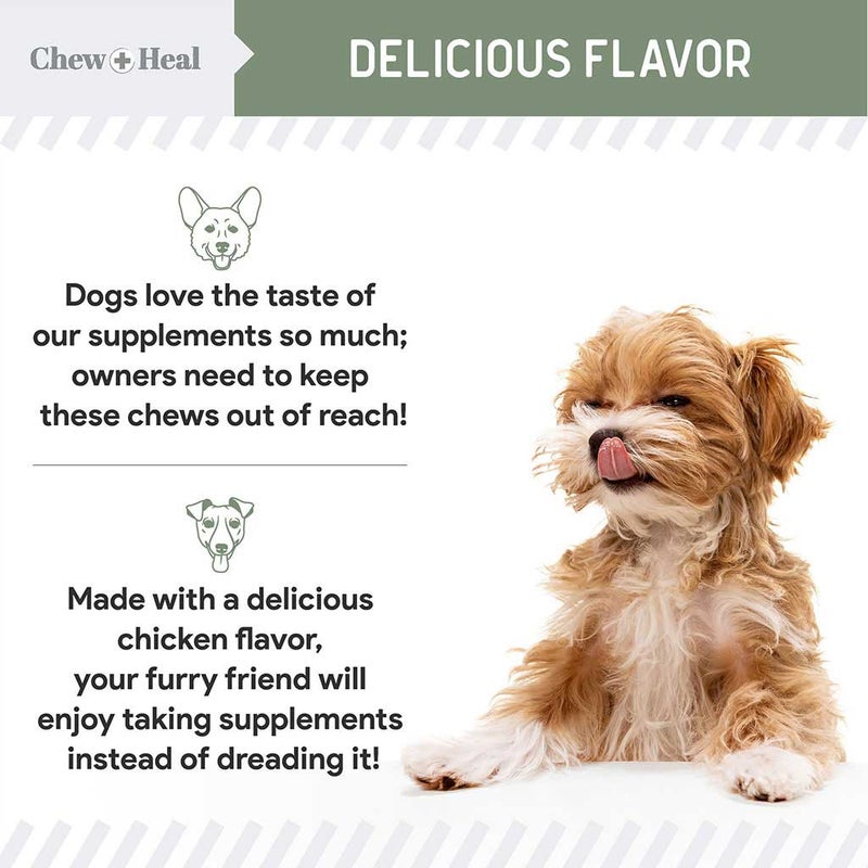 Chew + Heal 4-in-1 Support Multivitamin Soft Chews For Dogs, Pack of 120's