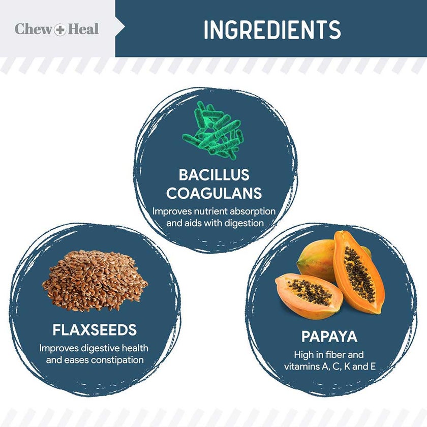 Chew + Heal Digestive Enzymes Soft Chews For Dogs, Pack of 120's