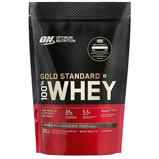 Optimum Nutrition Gold Standard 100% Whey Double Rich Chocolate Protein Powder 1lb