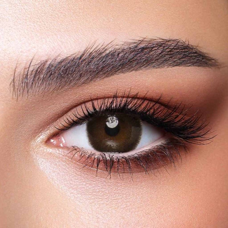 Bella One Day Cedar Contact Lenses - Base Curve 8.6, Pack of 10's