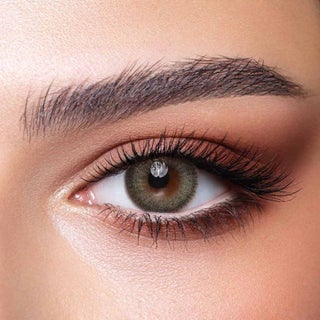 Bella One Day Pine Contact Lenses - Base Curve 8.6, Pack of 10's