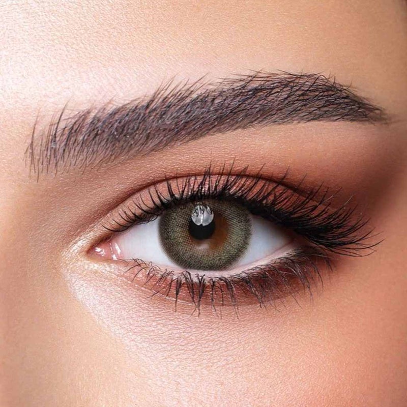 Bella One Day Pine Contact Lenses - Base Curve 8.6, Pack of 10's