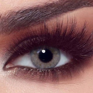 Bella One Day Rosewood Contact Lenses - Base Curve 8.6, Pack of 10's