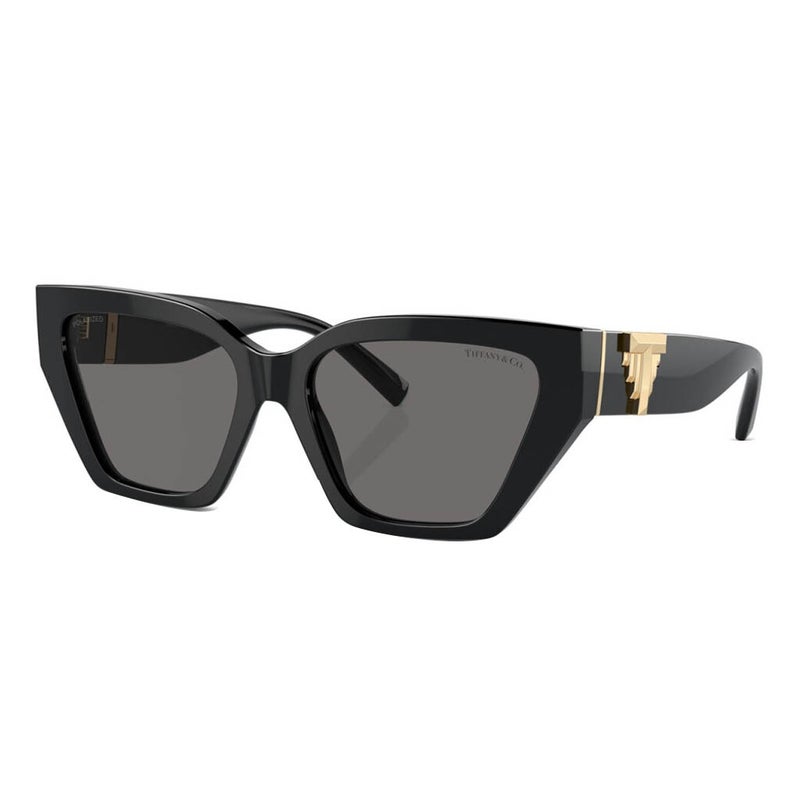 Tiffany Women's Sunglasses, Cat Eye Shape, Size 55 - TF4218 800181