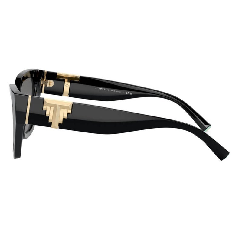 Tiffany Women's Sunglasses, Cat Eye Shape, Size 55 - TF4218 800181