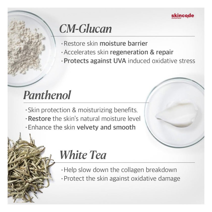 Skincode Regenerating Night Cream 50ml