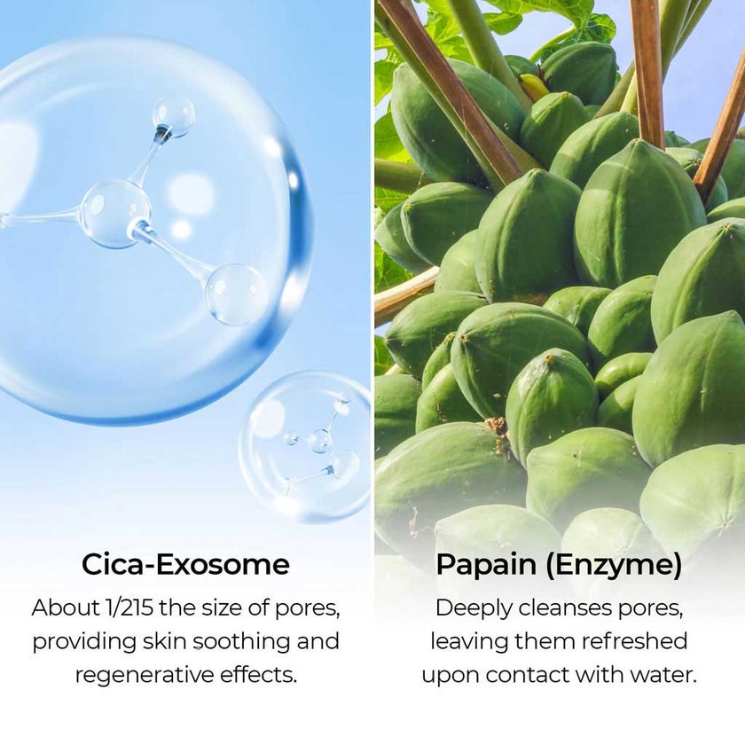 Dr. Melaxin Exosome Enzyme 2% Niacinamide Cleanser 50g