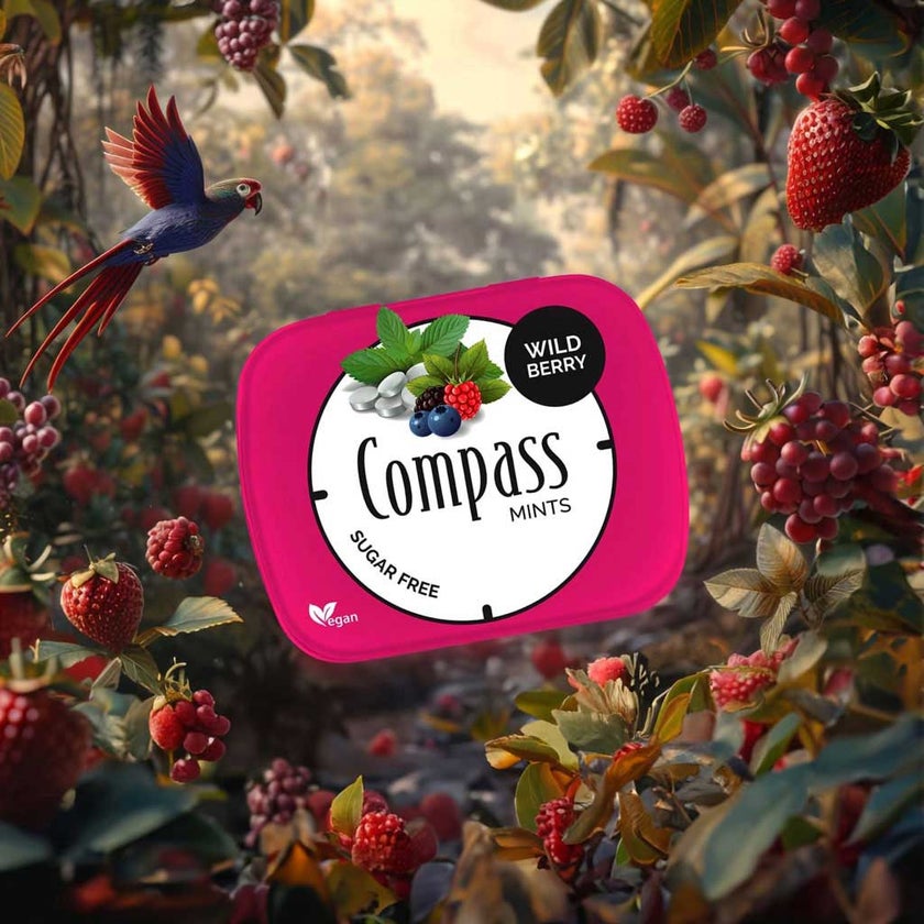 Compass Classic Sugar Free Wildberry Mints 14g