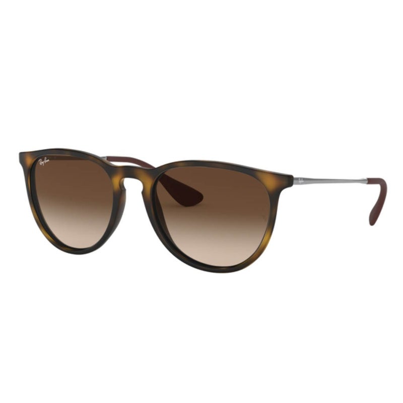 Ray Ban Erika Women's Sunglasses, Phantos Shape, Size 54 - RB4171 865/13