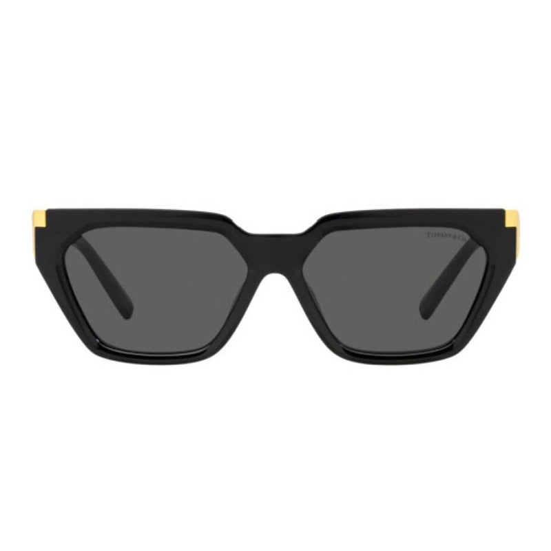 Tiffany Women's Sunglasses, Irregular Shape, Size 56 - TF4205U 8001S4 