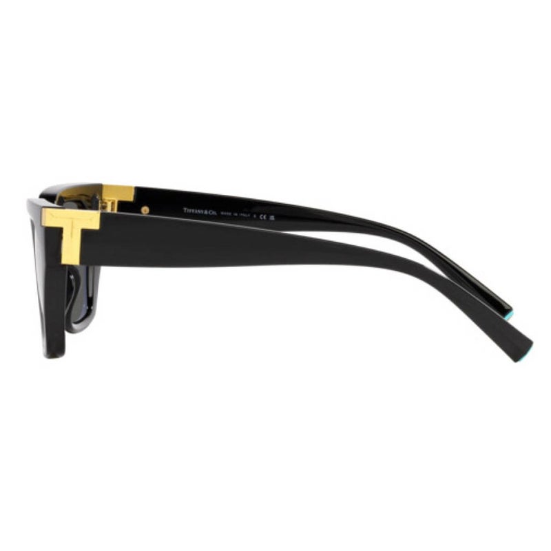Tiffany Women's Sunglasses, Irregular Shape, Size 56 - TF4205U 8001S4 