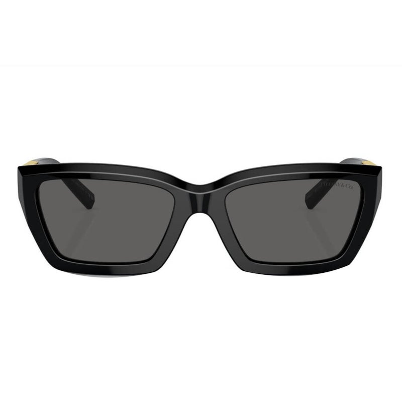 Tiffany Unisex Sunglasses, Rectangle Shape, Size 54 - TF4213 8001S4