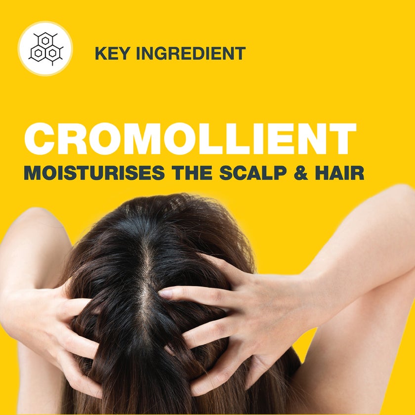 Nizoral Daily Care Anti Dandruff Shampoo For Oily Scalp 200ml 