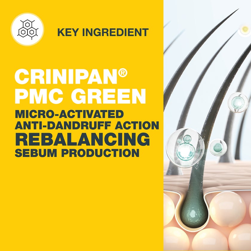 Nizoral Daily Care Anti Dandruff Shampoo For Oily Scalp 200ml 